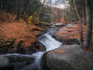 End of Autumn