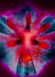 Spectrum of Serenity