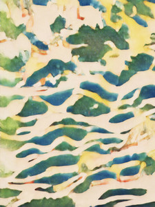 Abstract 5447C