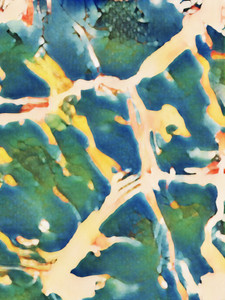 Abstract 5450B