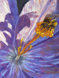 Honeybee Shadow