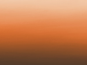 Earthy Tones Square