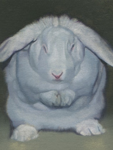 White Rabbit 43​