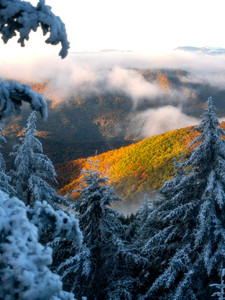 Which Season
