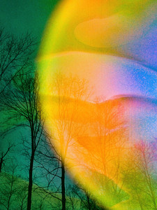 Euphoric​