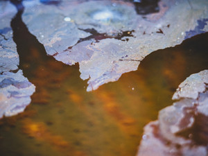 Cracked, No. 1