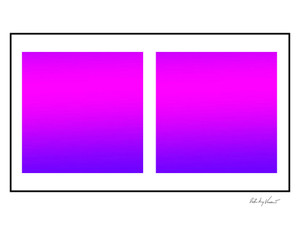 Duo-164