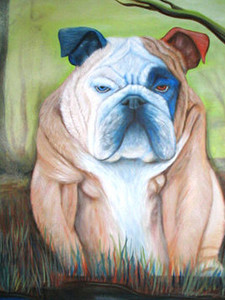 Bulldog in a Bog