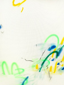 Field Notes