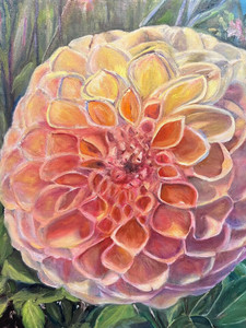 Midcoast Dahlia