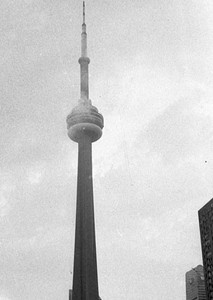 toronto fog