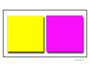 Duo-137