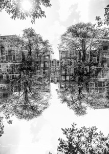 Amsterdam #153