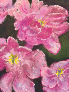A Spectacular Spring
