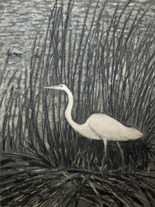 Pawleys Island Egret