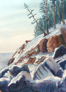 "Acadia Trees"