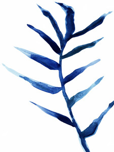 Branch I
