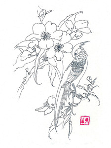 Bird and Flowers​