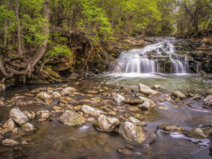 Farrington Reserve​