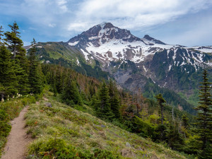 Mt. Hood​