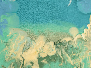 Elements VII