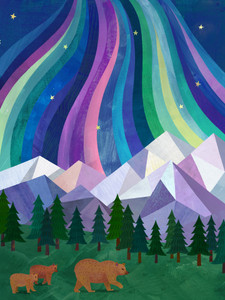 Northern Lights​​​​​