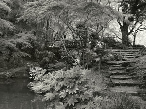 Bridge and Path