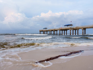 Alabama Gulf Driftwood Morning