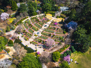 Sarah P. Duke Gardens