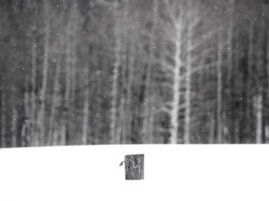Aspen Ideals​​​​​