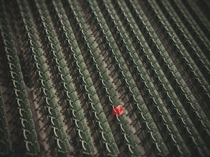 Ted Williams Red Seat - Fenway Park