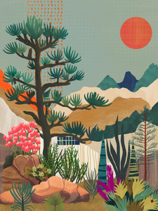Mountain Vision
