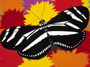 Zebra Butterfly