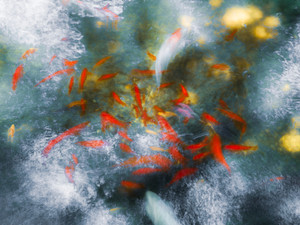 Liquid​​​​