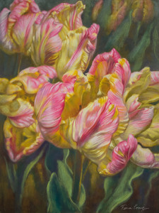 Tulipomania 7: Pink and Yellow Parrots