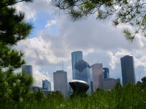 Through The Trees​​​