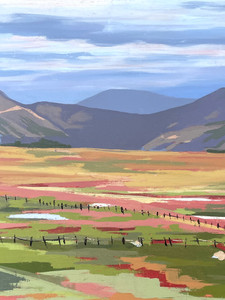 Colorado Color