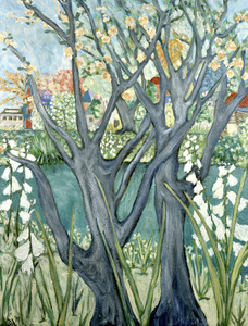 Portland Spring Trees