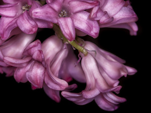 A First Look at Spring​