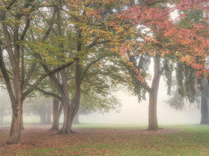 Quiet Nature