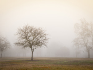 Soft Light II