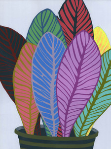 House Plant​​