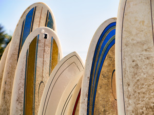 Surfboards 4742