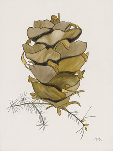 Pine Cone Three (third in a series of 3)