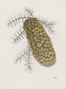 Pine Cone Two ( second in a set of 3)