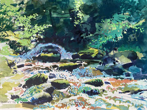 Waterfall in the woods