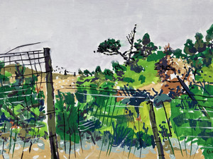 Grassland Colourscape