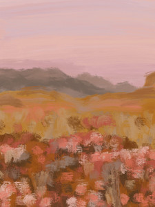 Field Impressions 2