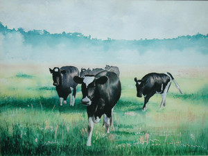Cows at dawn