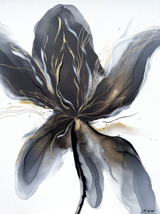 Bloom​​​​​​​​​​​​​​​​​​